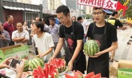 51朝阳吃瓜群众